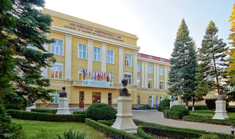 USV Iași a finalizat admiterea de vară 2022: cea mai mare concurență, la Medicină Veterinară
