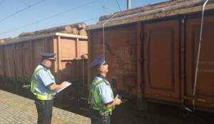 Lemn furat cu vagoanele: peste 7.400 m.c. de material lemnos, confiscați de polițiștii de la Transporturi în ultimele 4 luni