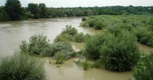 Cod portocaliu de inundații: Prutul a depășit cota de atenție la Oroftiana și Rădăuți Prut, în județul Botoșani