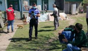 Zece câini au fost ridicați de polițiști din curtea unei bătrâne din Botoșani care nu putea să-i îngrijească