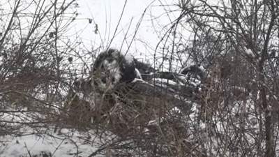 Doi români, tată și fiu, au murit în Bulgaria, după ce maşina în care se aflau a derapat şi a intrat într-un TIR (VIDEO)