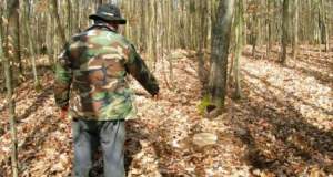 Sindicaliștii din silvicultură: Jumătate dintre pădurari nu au arme, uniforme ori mașini să combată furturile de lemn