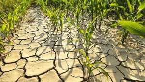Avertisment pentru România: 70% din țară suferă de secetă, unele zone sunt afectate de inundații din cauza crizei climatice
