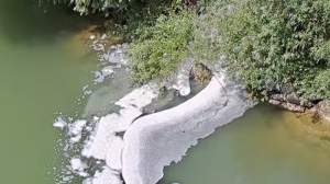 Poluare pe râul Siret. O spumă albă urât mirositoare s-a depus la mal. Autoritățile nu pot explica fenomenul (VIDEO)