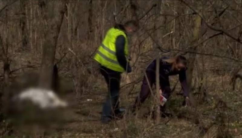 Oroare! Cadavrele a 50 de pisici, descoperite în Parcul Central din Buzău