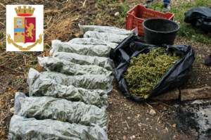 Români prinși în Sicilia cărând saci cu marijuana în spate
