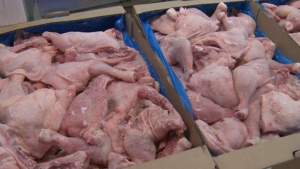 Zeci de tone de carne de pasăre contaminată cu Salmonella au ajuns în România