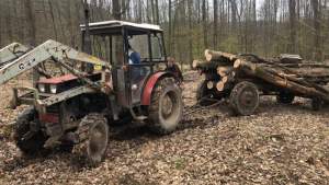 Caz de tăiere ilegală a pădurii în Hunedoara descoperit de jandarmi cu ajutorul unui elicopter