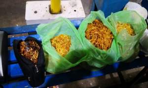 Turc prins cu zeci kilograme de chihlimbar sub formă de șiraguri de mărgele, ascuns în bagajele și pe corp