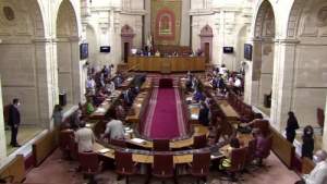 Ședința Parlamentului din Andaluzia, întreruptă de apariția unui șobolan gigant (VIDEO)