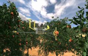 Invenția unei firme israeliene: la cules de fructe cu drona (VIDEO)