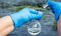 Autoritățile sucevene, în alertă după ce virusul care provoacă holera a fost descoperit pe o plajă din Republica Moldova