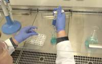 Un nou caz de infectare cu tulpina britanică a coronavirusului, în Suceava