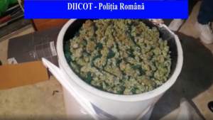Găleți cu droguri descoperite de polițiști: stupefiantele erau aduse din Spania cu firme de curierat (VIDEO)