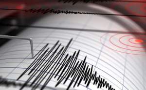 Cutremur cu magnitudinea 3 în județul Vrancea