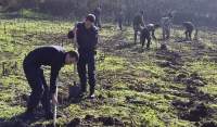 Jandarmii au plantat salcâmi pe raza Ocolului Silvic Iași