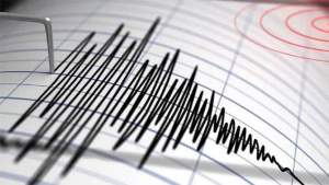 Cutremure produse noaptea trecută în Gorj și Vrancea