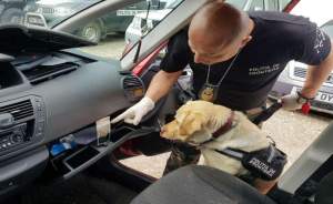 Sheba și-a făcut datoria! A ratat petrecerea burlacilor după ce câinele polițiștilor de frontieră din Vama Rădăuți-Prut i-a găsit cannabisul ascuns în mașină (VIDEO)
