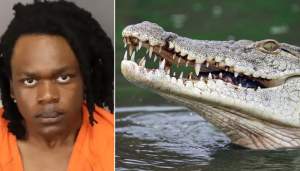 Crocodil surprins în timp ce ținea în fălci cadavrul unui băiețel de patru ani. Tatăl l-a aruncat în lac și i-a ucis mama