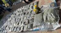 50 kilograme de cannabis găsite în timpul unor percheziții la o rețea de traficanți din Vrancea: patru persoane, reținute