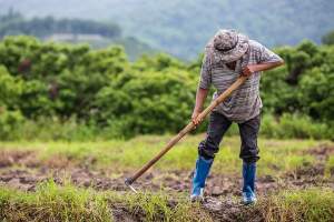Dumitru Oprea: Măsuri pentru susținerea agricultorilor români