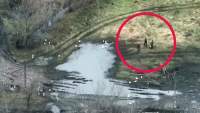 Soldați ruși care vânau gâște la o fermă din Donețk, uciși de artileria ucraineană (VIDEO)