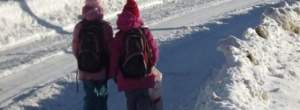 Cursuri suspendate în două şcoli, din cauza zăpezii; se circulă în condiţii de iarnă