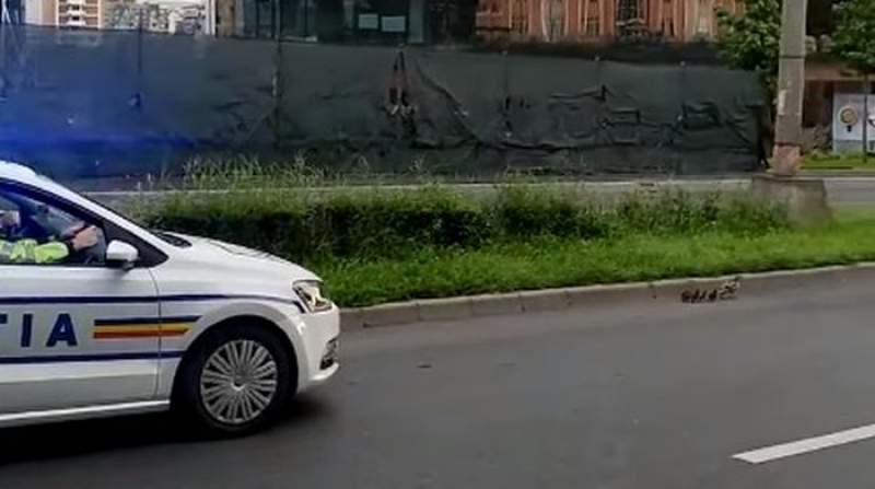 VIRAL. Polițiștii din Cluj ajută o rață cu 7 boboci să traverseze strada (VIDEO)