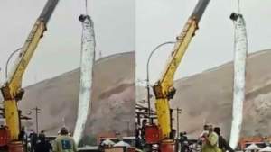 „Monstrul” aducător de dezastre scos din ocean de câțiva pescari din Chile: are peste 5 metri lungime (VIDEO)