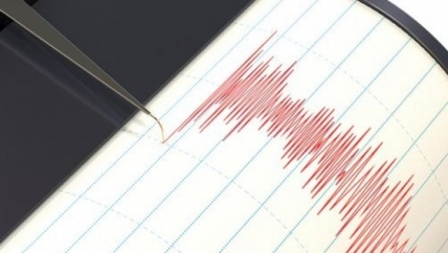Cutremur în zona Vrancea. E al treilea din această săptămână