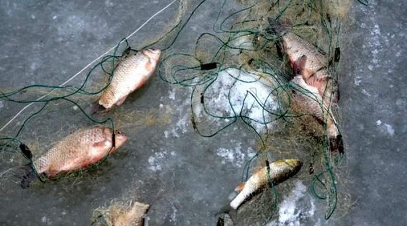 Au căzut în plasa polițiștilor. Trei braconieri din Țigănași, prinși cu aproape 25 de kilograme de pește pescuit ilegal